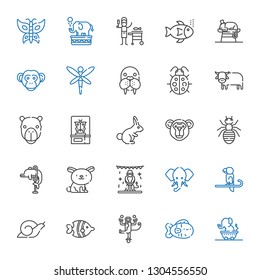 wildlife icons set. Collection of wildlife with elephant, fish, monkey, snail, parrot, animals, rabbit, dolphin, ant, butterfly, camel, ox. Editable and scalable wildlife icons.