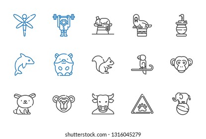 wildlife icons set. Collection of wildlife with elephant, paw, minotaur, monkey, rabbit, parrot, squirrel, hamster, dolphin, snake, walrus. Editable and scalable wildlife icons.