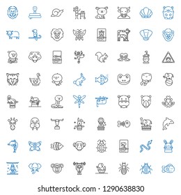 wildlife icons set. Collection of wildlife with fish, ladybug, ant, elephant, monkey, animals, bunny, snake, dinosaur, butterfly, dolphin. Editable and scalable wildlife icons.