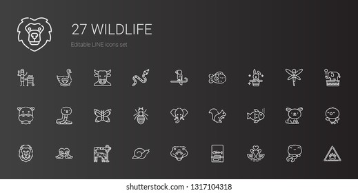 wildlife icons set. Collection of wildlife with swans, fishbone, crocodile, snail, giraffe, lion, fishes, squirrel, elephant, ant, butterfly. Editable and scalable wildlife icons.