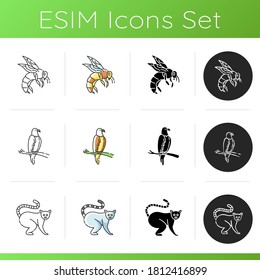 Wildlife icons set. Linear, black and RGB color styles. Ordinary animals and tropical wild life. Different nature inhabitants. Honeybee, ring tailed lemur and eagle. Isolated vector illustrations