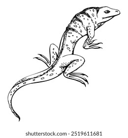 Fauna silvestre iguana lagarto reptil gecko salamandra animal mascota. Área de isla tropical del desierto. Dibujado a mano Vector de tinta ilustración aislada, un solo elemento para viajes, vacaciones, zoo terrario tienda folleto