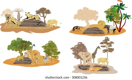 Wildlife illustration, african and south american fauna.