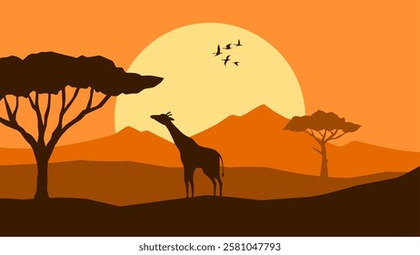 Wildlife landscape of a giraffe in a savannah scenery. Panoramic view of giraffe eating leaves from african tree. Vector illustration of scenic savanna with giraffe and flock of birds in the grassland