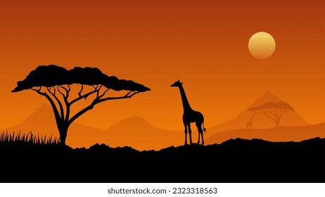 Wildlife landscape vector illustration. Wildlife africa savanna of giraffe with african tree and sunset sky. Wildlife silhouette landscape for background, wallpaper, display or landing page