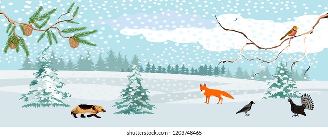 Wildlife landscape, winter in the forest, vector illustration. 