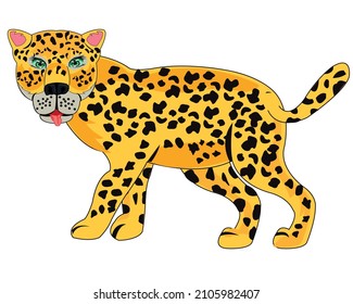 Wildleopard auf weißem Hintergrund ist isoliert