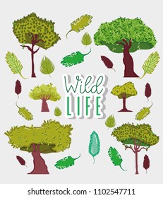Wildlife and nature