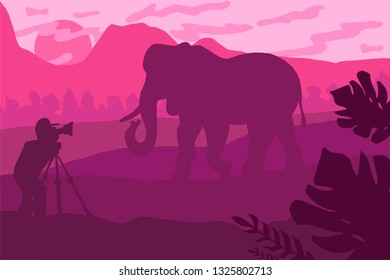 Wildlife, nature photographer flat illustration