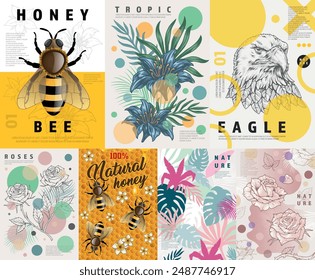 Wildlife nature set flyers colorful with honey bees and flowers or tropical plant petals near eagle vector illustration