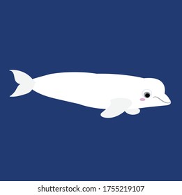 Wildlife in North America Collection Illustration Vector (Clipart)