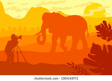 Wildlife photographer flat illustration. Minimalistic evening panorama with elephant silhouette