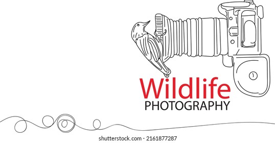 Wildlife Photography logo, Camera Vector, Sketch drawing of a sparrow bird sitting on front of camera lens, Wildlife photoshoot illustration