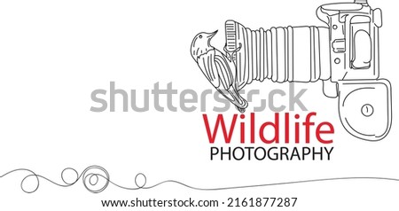Wildlife Photography logo, Camera Vector, Sketch drawing of a sparrow bird sitting on front of camera lens, Wildlife photoshoot illustration