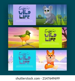 Wildlife posters with cute fox, bird, and mouse. Vector banners with cartoon illustration of funny wild animals on snow field, in summer forest and african savannah