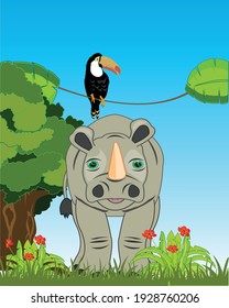 Wildlife rhinoceros and bird toucan on nature