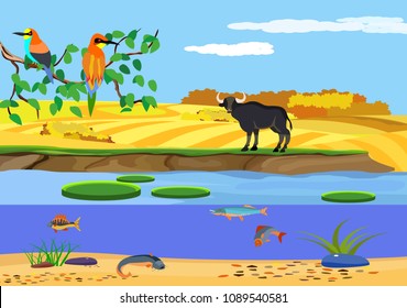Wildlife scene, nature landscape, river bank, fishes, animals, birds. Concept image
