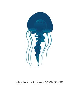 Wildlife sea or ocean design element the beautiful jellyfish swimming in the sea. Undersea dangerous creature, cartoon vector illustration isolated on white background.