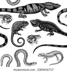 Wildlife seamless pattern with animal sketches. Hand drawn reptiles and amphibians - lizard, chameleon, iguana, frog, snake - nature background. Herpetofauna drawings for print, textile, wallpaper