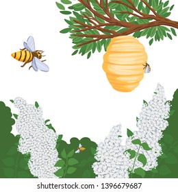 Wildlife, seedlings of flowers on a meadow in the forest, tree branch with a hive, bee life, insects in a natural environment. Vector cartoon flat style illustration.