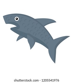 
Wildlife shark, marine animal
