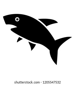 
Wildlife shark, marine animal
