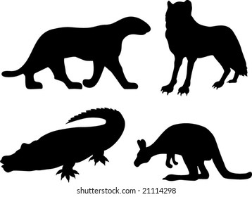 Wildlife silhouettes