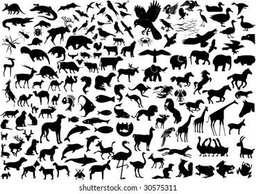 Wildlife Silhouettes