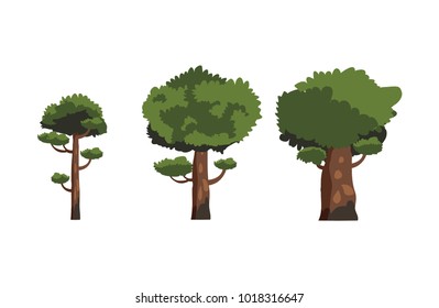 wildlife trees forest design element
