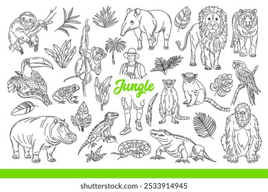 Wildlife of tropical jungle with animals and plants, or man traveling through rainforest. Inscription jungle among exotic flora and dangerous fauna from southern islands. Hand drawn.