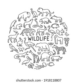 Wildlife vector icons circle concept. Animals, birds, sealife, insects illustration.