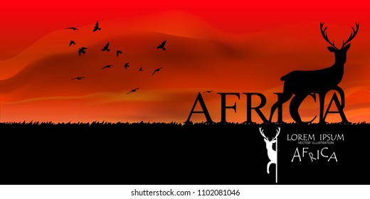 wildlife vector illustration.colorful  South Africa background for card and web. African Wildlife Background. Nature Background. African savanna landscape. safari card. vector. Sky Nature Landscape , 