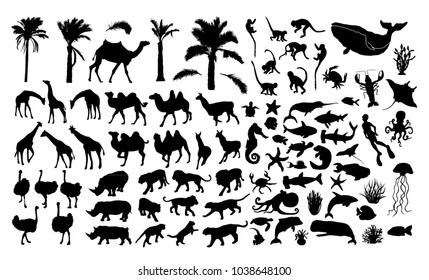 Wildlife vector silhouettes