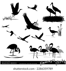 Wildlife. Wading birds set. Storks and flamingos silhouette. Vector illustration