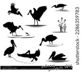 Wildlife. Waterfowl birds set. Pelicans, ibis, spoonbills birds silhouette. Vector illustration