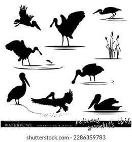 Wildlife. Waterfowl birds set. Pelicans, ibis, spoonbills birds silhouette. Vector illustration