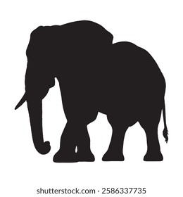 Wildlife-Themed Elephant Silhouette for Art Prints and Posters - Elephant Vector - Elephant Illustration
