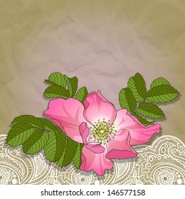 wildrose, lace and craft paper, vector illustration, eps10