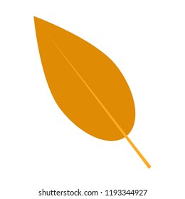Willow autumn leaf icon. Flat illustration of willow autumn leaf vector icon for web design