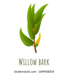 Willow bark branch icon. Cartoon of willow bark branch vector icon for web design isolated on white background