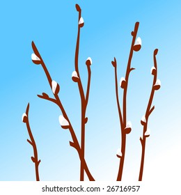 willow branch blue sky