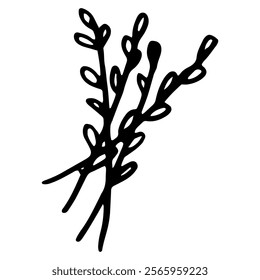 Willow branch doodle. Vector illustration