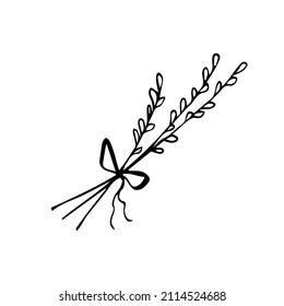 Willow branch hand drawn illustration, vector line sketch illustration isolated on white background