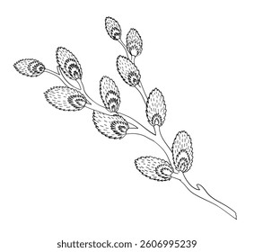 A willow branch. Ink-style graphic vector illustration.Vector illustration. For fabric, wallpaper, packing paper, greeting cards, design, decoration and illustration.