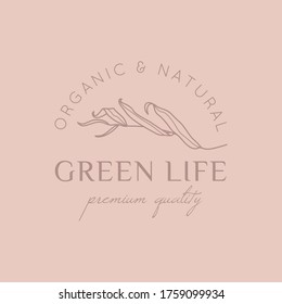 Willow branch with leaves logo design template in simple minimal linear style. Abstract Feminine Vector Signs with Floral Illustration for Beauty Studio, SPA salon, Organic cosmetics