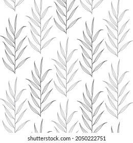Wilde Zweiglinien-Kunstvektor auf weißem und schwarzem Hintergrund. Wildleder, Vektorgrafik. Blumenblätter botanische Illustration Textur und Dekorationskunst.