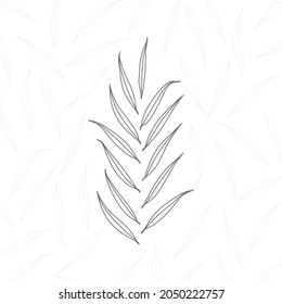 Willow branch line art vector on white and black background. Willow leaf vector illustration. Willow leaf botanical illustration texture and decoration art.