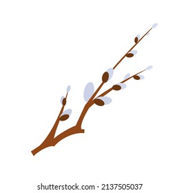 Willow branch - modern flat design single isolated object. Neat detailed image of fluffy buds of a plant associated with a religious holiday and spring arrival. Blooming, awakening, new life idea
