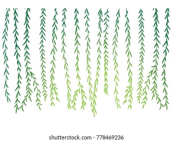 Willow branch object. Sunlight passes through the willow branches. Vector illustration.