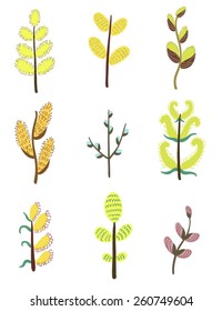 Willow branch set. Vector illustration. 